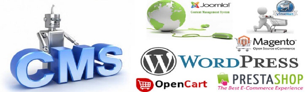Various 3rd Party CMS Development 1 Various 3Rd Party Cms Development 1